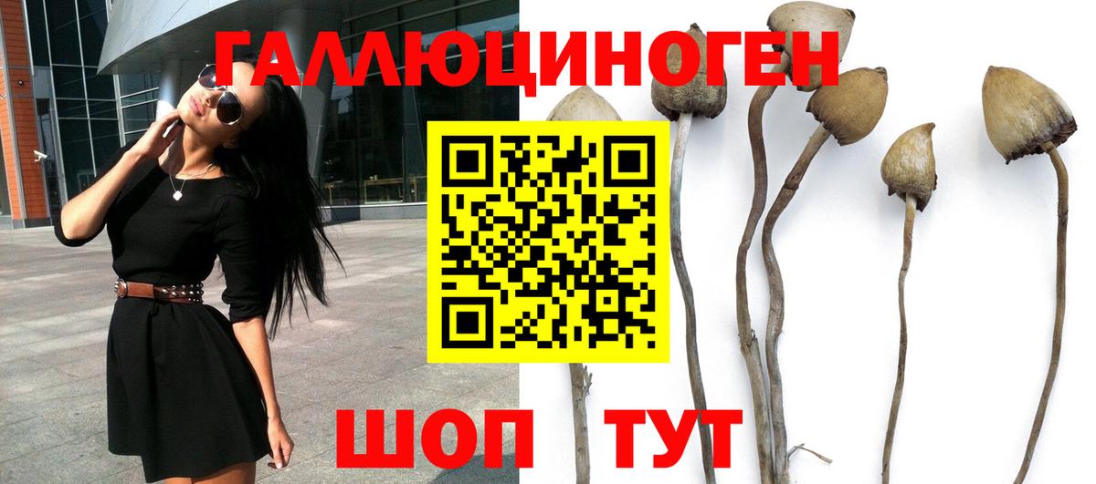цена наркотик  Галлюциногенные грибы Magic Shrooms  Вход с VPN  Корсаков 