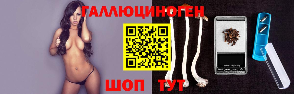 Псилоцибиновые грибы GOLDEN TEACHER Корсаков
